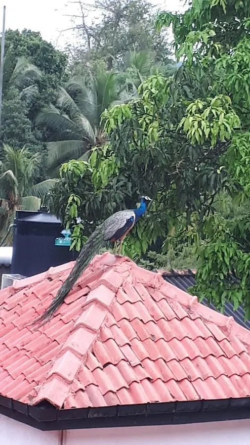 Jal,Min Homestay Kandy